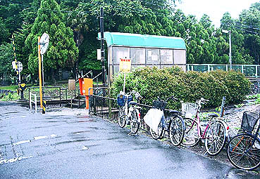 �������w