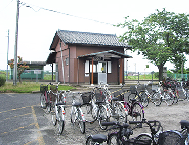 ���� �|�P�l�w