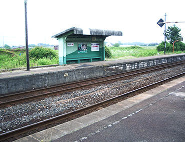 ���� �|�P�l�w