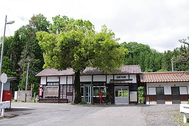 �o�_����w