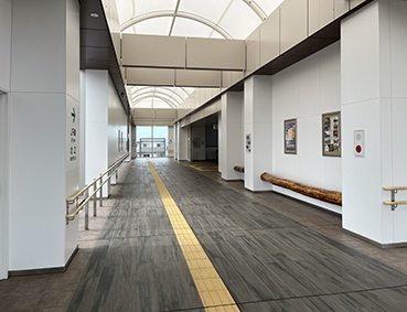 �֐��� �I�]�w