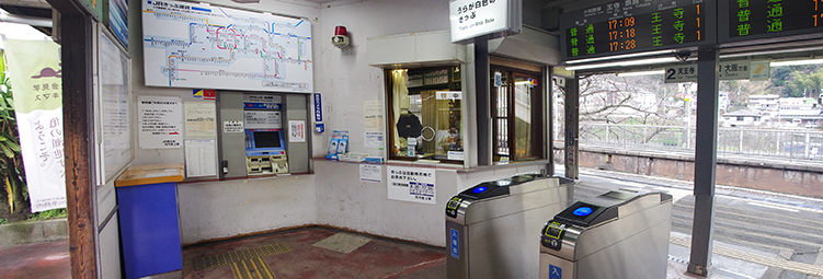 �͓�����w