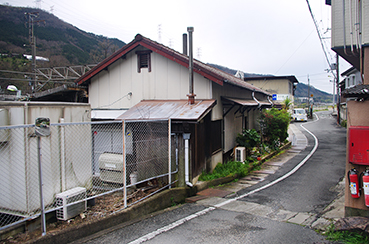 �͓�����w