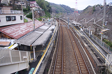 �͓�����w