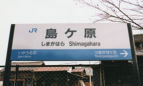 ���P���w