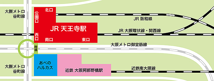 �V�����w