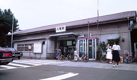 �����w���w��