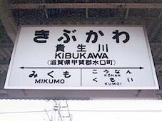 �M����w ���w��