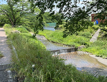 �ޗǐ� �ʐ��w