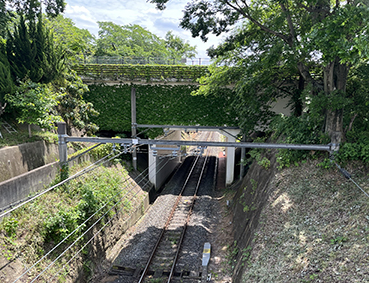 �ޗǐ� �ʐ��w