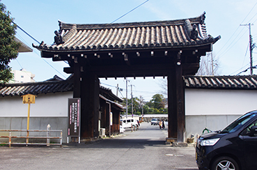 �������w