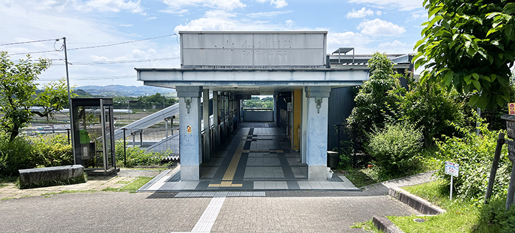 �ޗǐ� �R�鑽��w