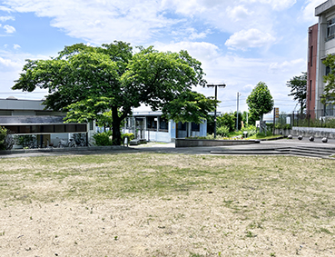 �ޗǐ� �R�鑽��w