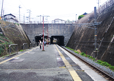 �Q��������w