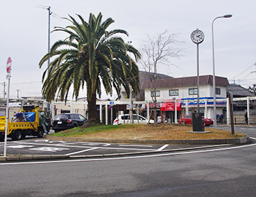 �Q��������w