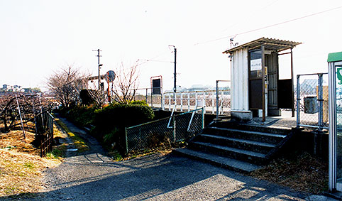 �I�ɒ��c�w