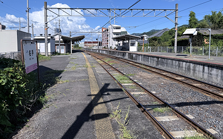 �a�̎R�� ����w