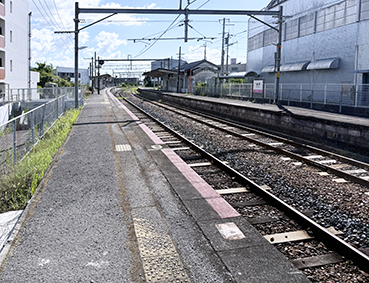 �a�̎R�� ����w