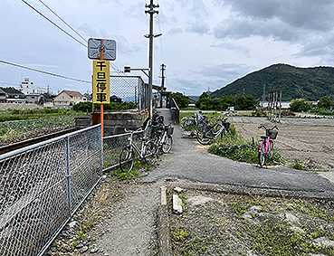 �a�̎R�� ��U�w