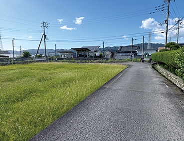 �a�̎R�� �����w