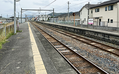 �a�̎R�� �c��m���w