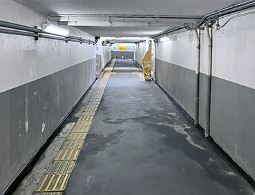 �a�̎R�� �g����w