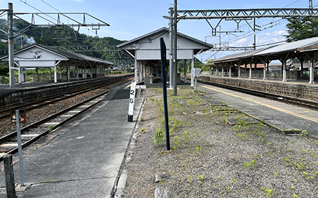 �a�̎R�� �g����w