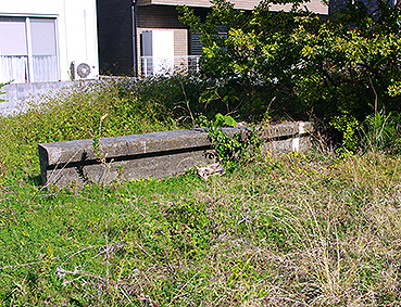 阪和線 紀伊中ノ島駅