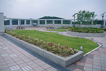 �O�����u�w