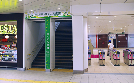 �O�����u�w