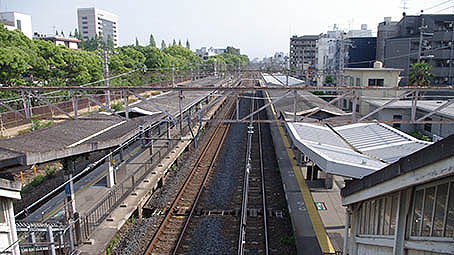 ���{���w�@����