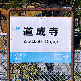 �������w