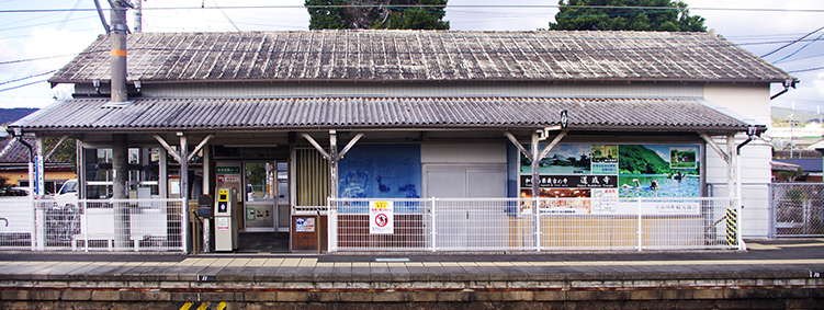 �������w