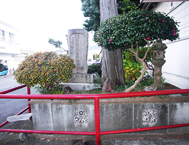 �������w