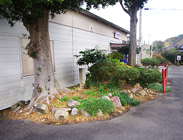 �������w