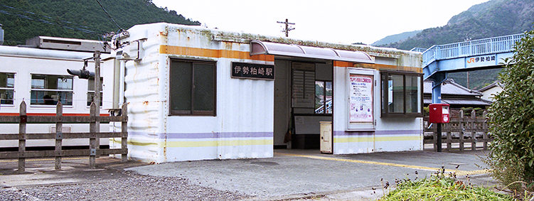 �ɐ�����w ���w��