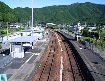 �ɐ�����w