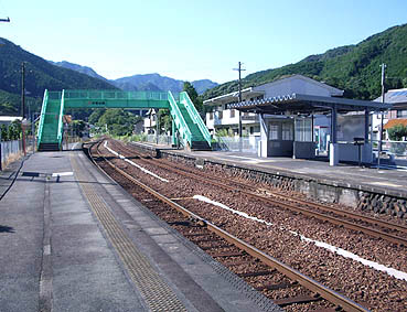 �ɐ�����w