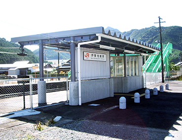 �ɐ�����w