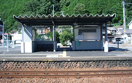 �ɐ�����w