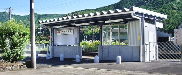 �ɐ�����w