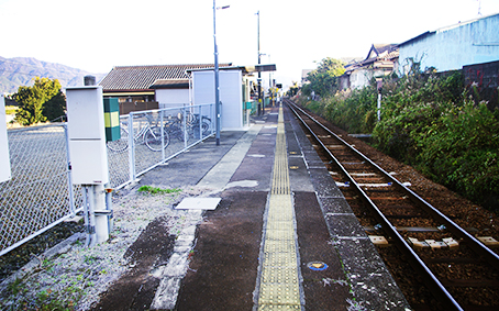 �I�Ɏs�؉w���w��