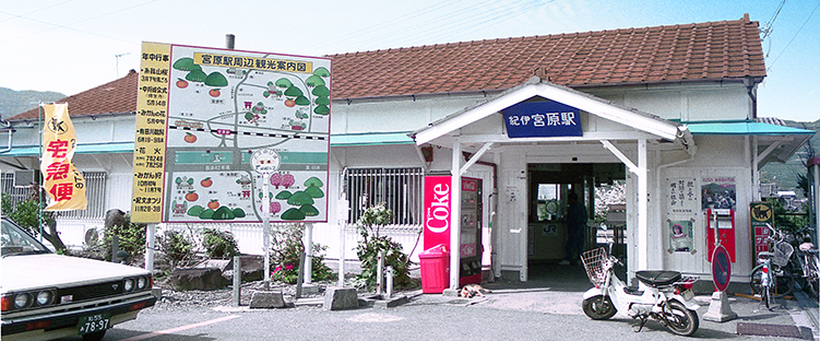 �I�ɋ{���w