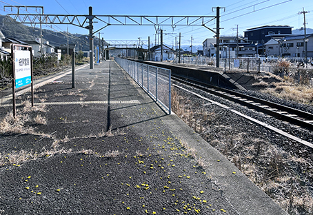 �I���� �I�ɋ{���w