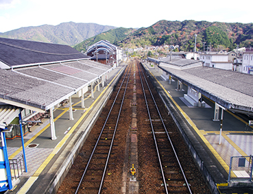 �I�ɒ����w