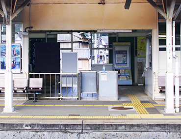 �I�ɒ����w