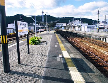 �I�ɒ����w