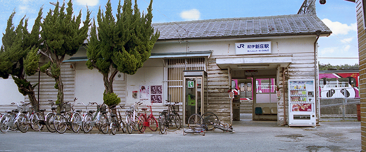 �I�ɐV���w