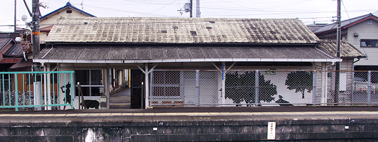 �I�ɐV���w