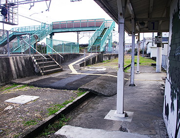 �I�ɐV���w